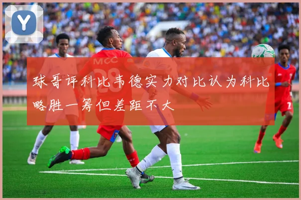 球哥评科比韦德实力对比认为科比略胜一筹但差距不大
