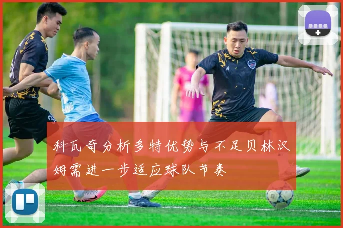 科瓦奇分析多特优势与不足贝林汉姆需进一步适应球队节奏